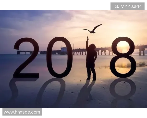 深度对话陈伟排球人生的奋斗与梦想探索之旅