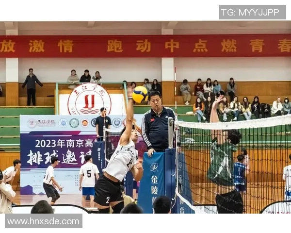 深圳排球队团队协作新模式引发热议助力竞技水平提升