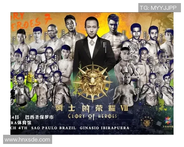 深圳排球队的崛起之路精英赛背后的奋斗与荣耀