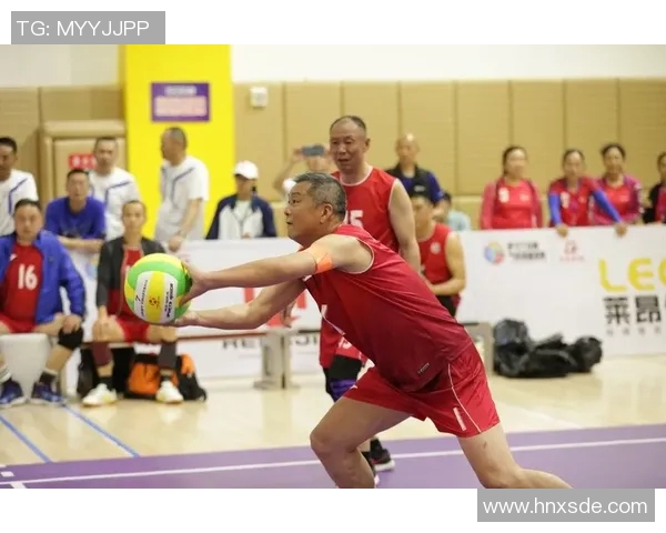 排球爱好者必看护腕选购指南及推荐品牌解析