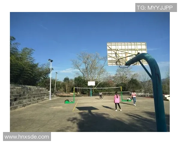 杭州排球队的拼搏之路：钻石联赛特别报道与奋斗精神的传承