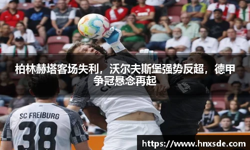 Lewin乐玩官网