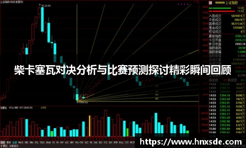 柴卡塞瓦对决分析与比赛预测探讨精彩瞬间回顾